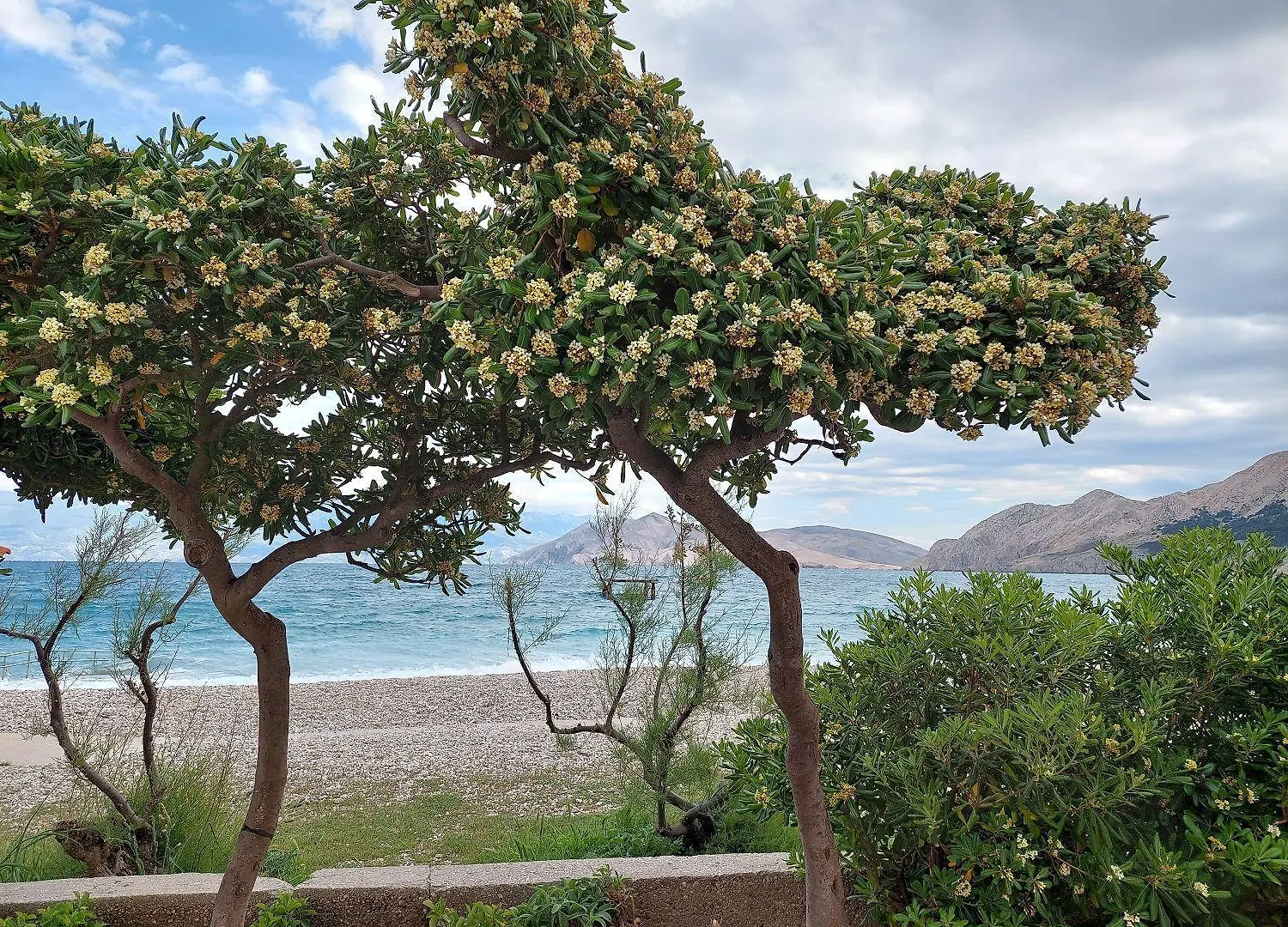 300 Meter Zum Strand Mit Wlan, Klima Baska  Croatia